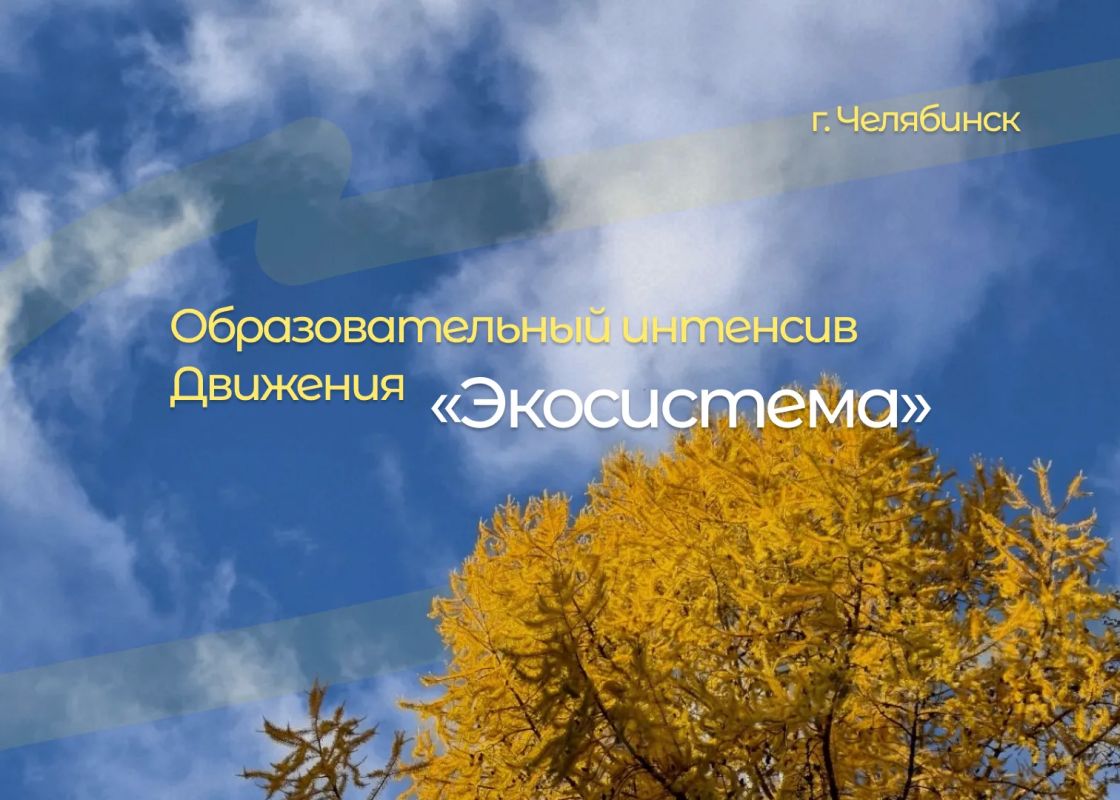 Образовательный интенсив по экологическому добровольчеству