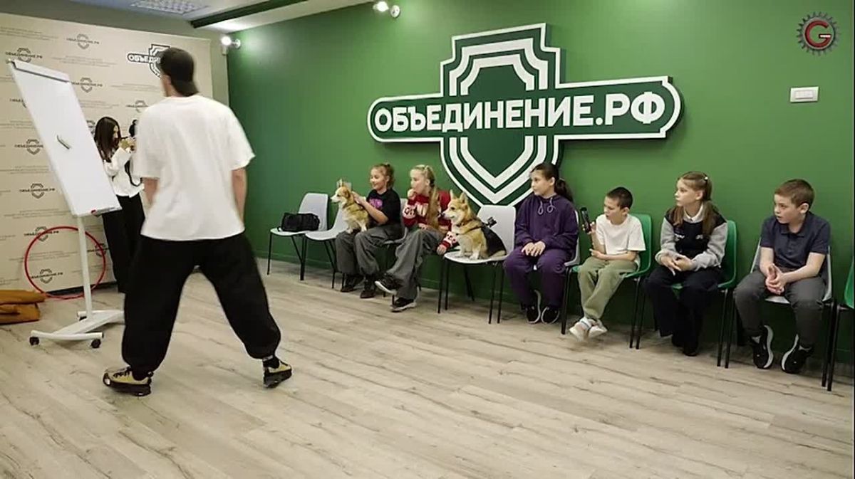 Корги по кличке Бен и Султана работают с детьми и подростками уже несколько лет