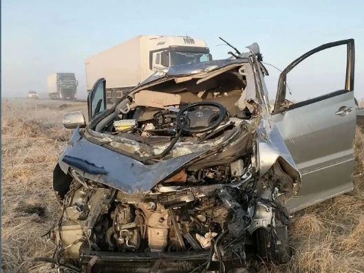 На трассе «Иртыш» в Курганской области в ДТП с косулей погиб человек
