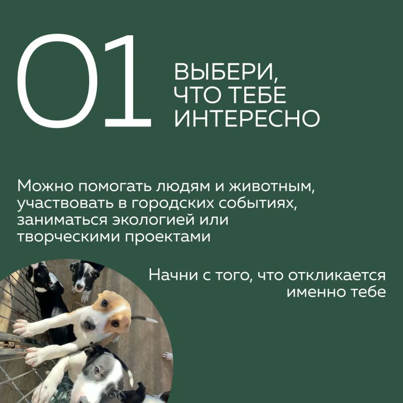 Хочешь стать волонтёром, но не знаешь, с чего начать? Хочешь стать волонтёром, но не знаешь, с чего начать?
