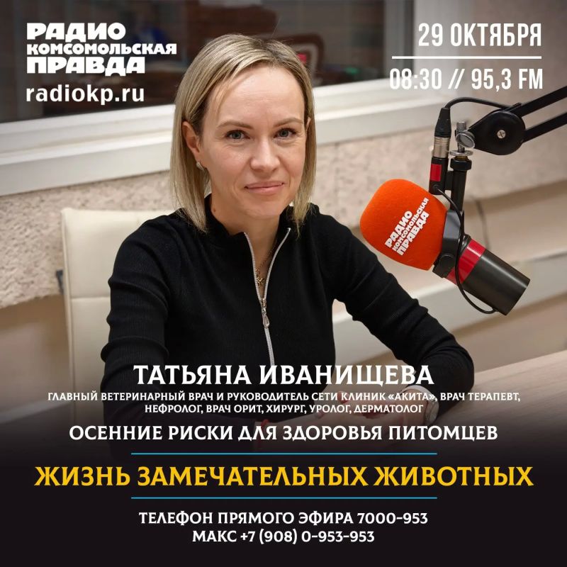 Межсезонье опасный период для наших питомцев