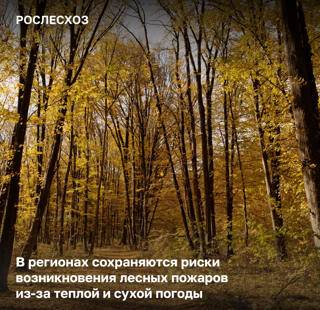 По погодным условиям на территории страны местами держатся высокие и чрезвычайные классы пожарной опасности
